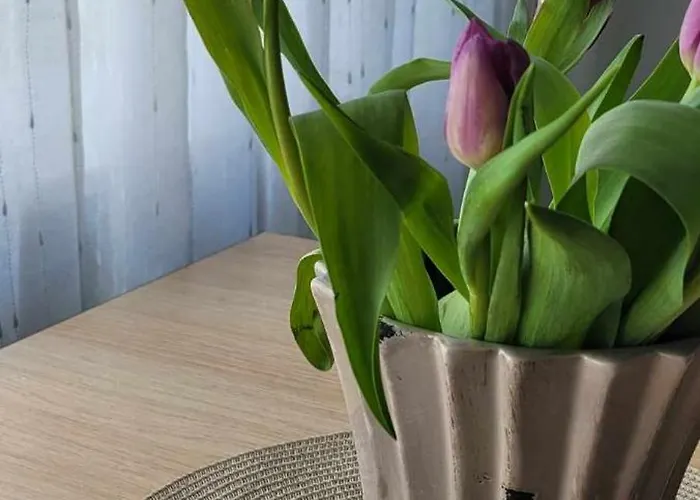 Apartamento Suedalinna Majutus *